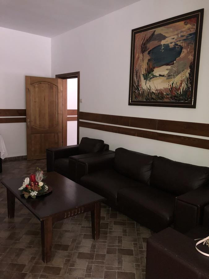 Pensiunea Ovidiu&Paula Ibanesti Экстерьер фото